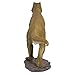 Design Toscano T-Rex Dinosaur Garden Statue