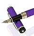 Dryden Designs Decadent Purple Fountain Pen