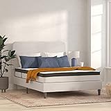 Flash Furniture Capri Comfortable Sleep 10 Inch