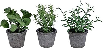 Herb Growing Soil Mixture 4qt Specially Blended Soil Mixture For Planting And Growing Indoor Kitchen Herbs Indoors Soil Mixture For Indoor Herb Planters Indoor Herb Garden Patio Lawn Garden Gardening