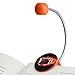 Disc LED Reading Light by WITHit - Football pattern - LED Book Light with Chrome Neck for Books, E-Reader and E-Book Light…