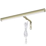 Xbuyee LED Picture Lights for Paintings Plug in, 14