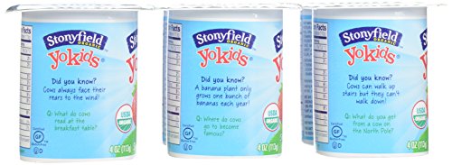 Stonyfield Organic Stonyfield Yokids Ban/Straw, Strawberry, 4 oz