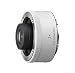 Sony FE 2.0x Teleconverter primary