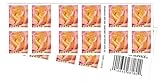 Peace Rose USPS Forever Stamp (2 Booklets (40 Stamps))