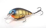 Strike King KVD Squarebill Crankbait (Bluegill (622), 1.5-Ounce)