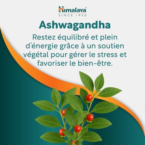 Ashwagandha 60 gélules, complément ayurvédique végétalien à l’extrait de racine d’ashwagandha, pour aider à gérer le stress et soutenir l’énergie