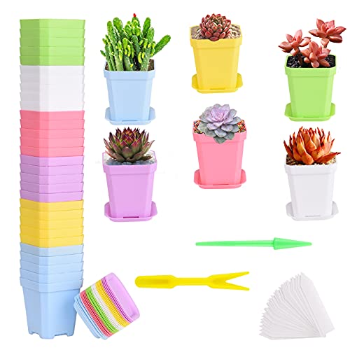 30Pack Square Plastic Plant Pots with Drainage Holes, Mini Flower Pots