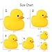 Novelty Place Rubber Duck Family Pack Ducky Baby Bath Toy for Kids (Pack of 6)