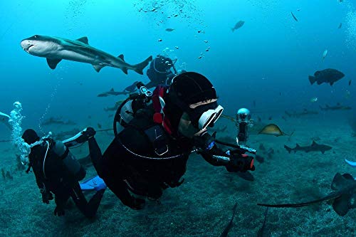 image for SunnyLIFE Transparent 60m Underwater Dive Shell Waterproof Housing Cas