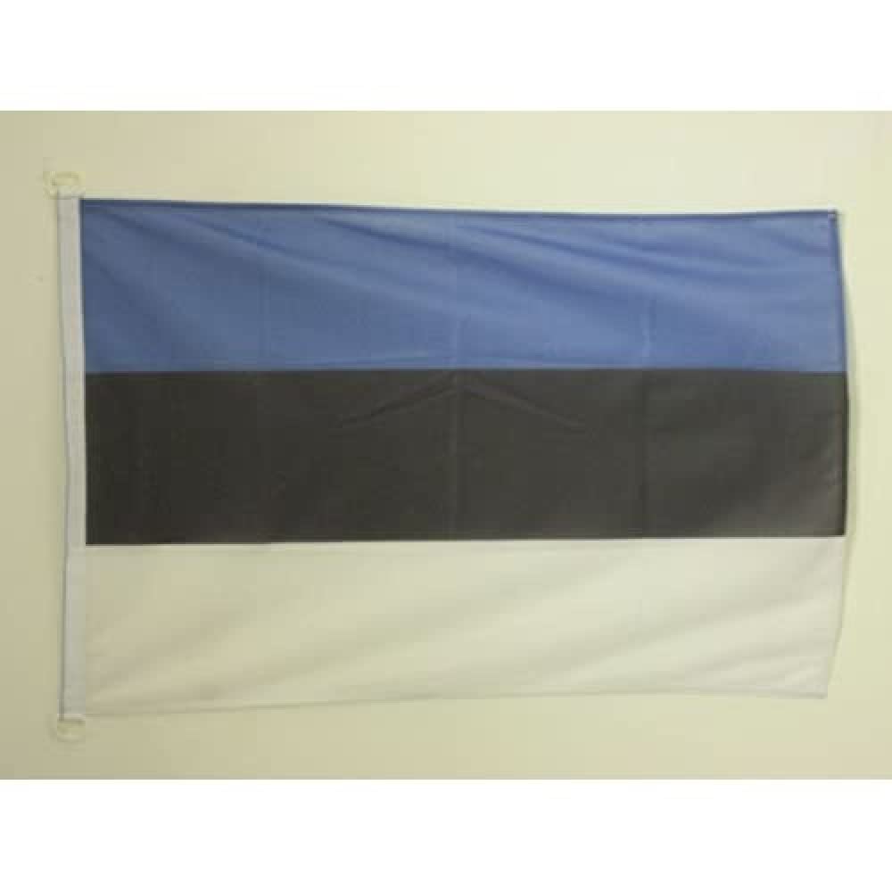 AZ FLAG - Estonia Flag - 3x5 Ft - External Use - Estonian Banner Knitted Polyester with Two Plastic Rings - Fade Resistant - Vivid Colors - 3' x 5' Feet - 150x90 Cm
