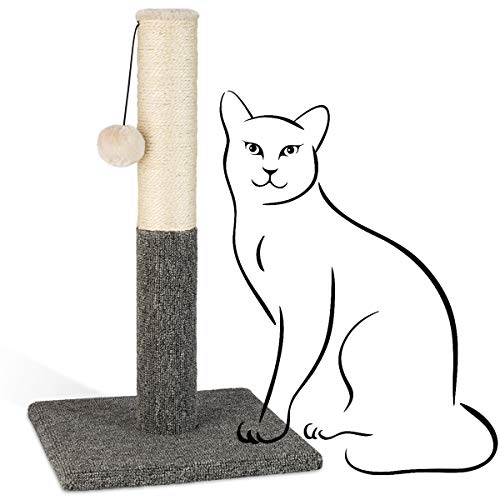 Photo 1 of PAWBEE Cat Scratching Post - 20” Kitty Scratch Pole with Natural Sisal Rope and Hanging Ball Toy - Carpet Covered Heavy Anti-tip Base - Sturdy Scratcher Pole Tower for Small Cats and Kittens