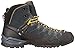 Salewa Men's Alp Trainer Mid GTX Alpine Trekking Boot