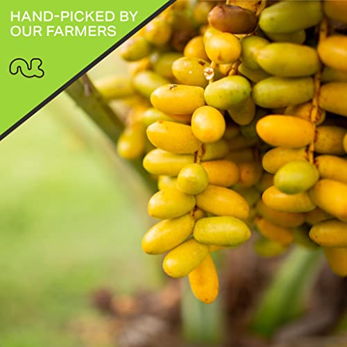 Sun Dried Deglet Noor Dates Pitted, No Sugar Added (16oz 1 LB) Packed