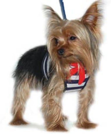 buffalo plaid dog collar and leash