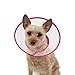 Vivifying Pet Cone for Cats and Small Dogs, 3 Size of Adjustable 5.7-8in Lightweight Recovery Elizabethan Collar for Cats, Puppies and Mini Dogs (Pink)
