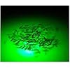 DOCK-LIGHT-110-volt-Green-Underwater-Fishing-LED-Blob-300-Night-Fishing-Light-Green-Blob-Outdoors