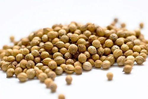 Natures Root Organic Coriander Sprouting Seeds 125g - Cilantro Sprouts | Non GMO | Microgreen Sprouts | Garden Planting | Vegetable Gardening - Image 3