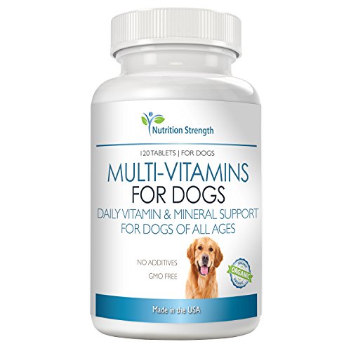 Top 9 best multivitamin bites for dogs