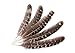 Hgshow 10pcs Touch of Nature Eagle Feathers