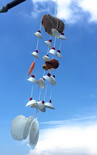 WD-Beautiful Seashell Wind chime Nautical Hanging - Noly shell top for room door window 19 inch