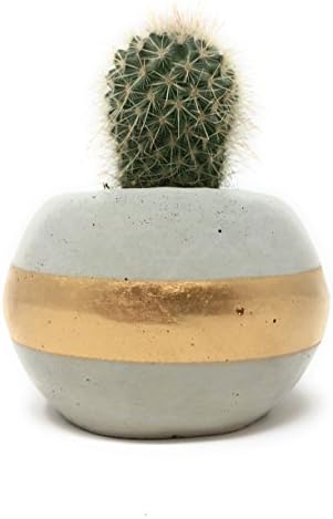 ORB Concrete Succulent Planter. Single. GOLD.