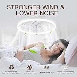 STERREN Ceiling Fans with Lights,20" Low Profile