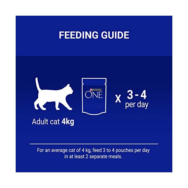 Purina-ONE-Cat-Food-Mini-Fillets-in-Gravy-40-x-85g Purina ONE Adult Cat Food Mini Fillets in Gravy, 40 x 85g