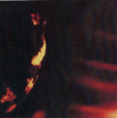 Skepticism - The Gallant Crow Lyrics - Zortam Music