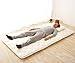 EMOOR Japanese Traditional Futon Mattress 