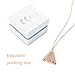 Aromatherapy Essential Oil Diffuser Necklace Stainless Steel Locket with Hypo-allergenic Stainless Steel Adjustable Chain(Rose Gold)