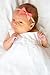 5 Baby Girl Hair Bows on Nylon Headbands | 2