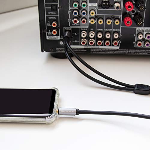 Cable Matters 3.5mm to RCA Cable (Stereo to RCA / Aux to RCA / Headphone Jack to RCA / RCA to Stereo) Black 6 Feet