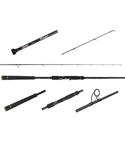 Amazon.com : Jigging World Onyx Inshore Casting Rod (JW-OX701C-XH Amazon.com : Jigging World Onyx Inshore Casting Rod (JW-OX701C-XH