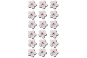 JUROICESSRY 20Pcs White Forget Me Not Flowers Dried Pressed Flowers for Resin,Candle,Epoxy Resin,Soap Making,Scrapbooking,DIY Art Crafts，Papermaking Supplies