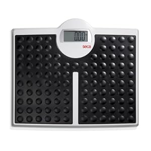 seca 813 – High Capacity Digital Flat Scale for Individual Patient use