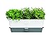 Cole & Mason Burwell Self-Watering Potted Herb Keeper Triple