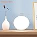Light Therapy Lamp - VIPEX LED Therapy Light with UV-Free 10000 Lux Brightness, 3 Adjustable Brightness Levels, Touch Control, Compact Size for Happy Mode