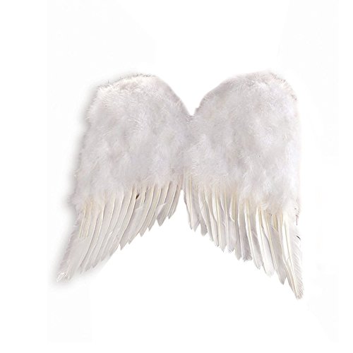 Adult Feather Wings
