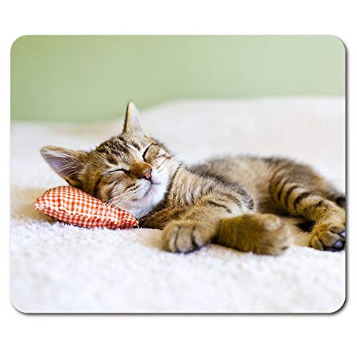 Destination Vinyl Ltd Beautiful Sleeping Kitten Mouse Mat Pad - Cat Cats Mum PC Computer #8265