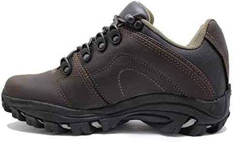 tênis bull terrier fox terrier low