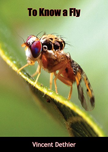 To Know a Fly by Vincent Dethier