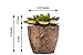 Set of 6 Artificial Succulent Plants – Fake Plants with Grey Ceramic Planters for Decoration