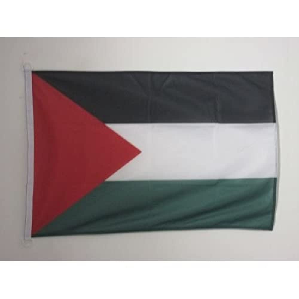 AZ FLAG - Palestine Flag - 2x3 Ft - For Outdoor - Palestinian Banner Knitted Polyester with Two Plastic Rings - Fade Resistant - Vivid Colors - 2' x 3' Feet - 90x60 Cm