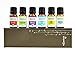 Wild Essentials 6 Pack Synergy Blend Aromatherapy Essential Oil Gift Set 100% Pure, Undiluted 10ml Bottles of Breathe Easy, Alert, Inner Calm, Relax, Uplifting, Zen, Made in USA