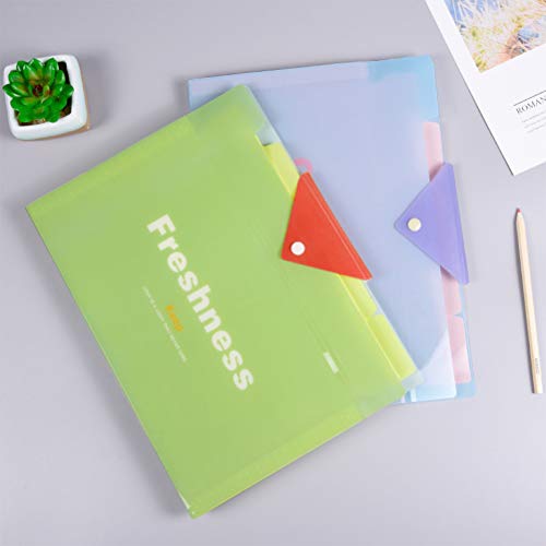 YOTINO 6 Pcs Expanding File Folder with 5 Pockets Plastic A4 Letter Size Document Organizer and 120 Pcs File Folder Labels for School Office Business (6 Color)