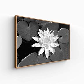 Canvas Wall Art for Living Room, Bedroom Monochrome Plants Framed Canvas Prints for Home Decoration Ready to Hang - 16x24 inches
