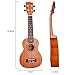 Afuaim Ukulele Soprano 21 Inch Mahogany Uke AUM-21M Ukulele Pack with Gig Bag