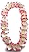 Oojami Hawaiian Luau Party Leis - 12 Pack of Tropical Flower Lei Necklaces for Beach Parties, Decorations and Costumes
