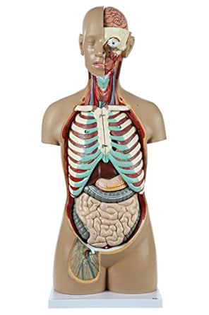 Image of 616316878327